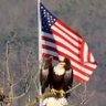 Profilbild von Freedom & Liberty