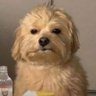 Jusiam's profile picture