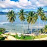 Caribbean1223 的头像