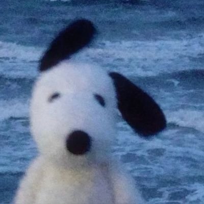 chicofrvnte's profile picture