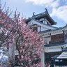 Фото профиля 福知山から観光情報発信│地域おこし協力隊