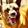 thedukey's profile picture
