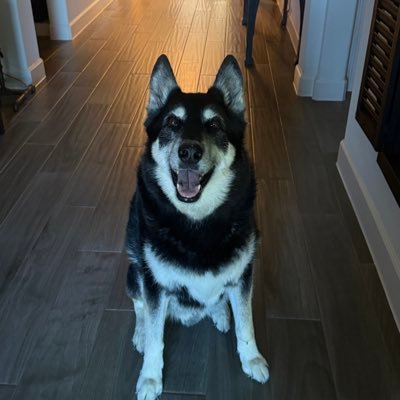 danny's profile picture