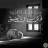 Profilbild von SR Alshammari