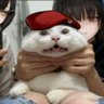 Profilbild von Kalina's Fattest Husband