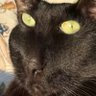 Profilbild von durrr