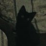 este's profile picture