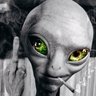 Poundsbuggin's profile picture
