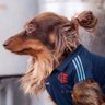 lucas's profile picture