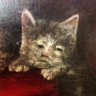 Altero's profile picture