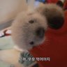 yodaMM's profile picture