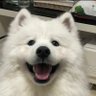 นโม ت♪ profil fotoğrafı
