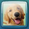 nibblestone's profile picture