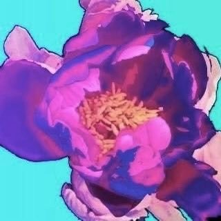 minayukiinori's profile picture
