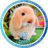 Profilbild von ChinSmileyCL🐰🪐