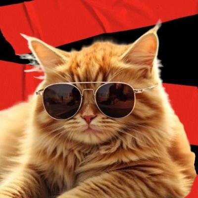 ◝ •͈`May⁷ VERÁ A BTS⊰⊹ฺ ꪜ🇵🇪's profile picture
