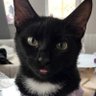neivilde profil fotoğrafı