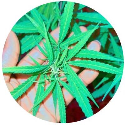 Youngspace's profile picture