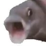松's profile picture