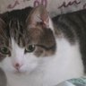 Profilbild von coco