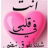 الصقر::::::::: اليماني:::::: 的头像