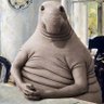 tripa de boi's profile picture