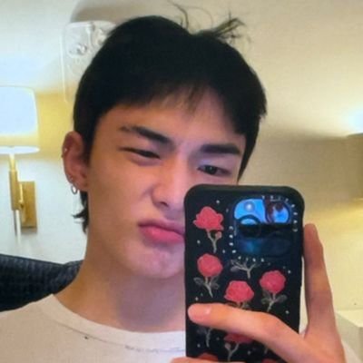 aninha 🫧 VIU O SKZ's profile picture