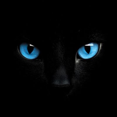 fenix FENIX's profile picture