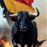 Profilbild von RABO-de-TORO