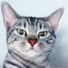 𝓜𝓸𝓷𝔂 𝓐𝓷𝓰𝓾𝓪𝓶𝓮𝓪 𝓢𝓸𝓶𝓸𝓬𝓱𝓲 profil fotoğrafı