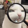 Бедлам's profile picture