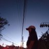MVBBYY's profile picture