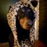 awarenevry's profile picture