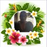 Tehrah Edwards's profile picture