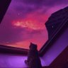 Фото профиля iamfizzy13