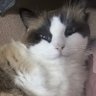 Profilbild von Wait,