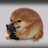 Profilbild von Amy Colvin