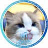 Profilbild von KimChi