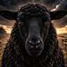 Фото профиля THE BLACK SHEEP