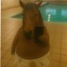 Charles 🇪🇸🇺🇲🇺🇾🇲🇽's profile picture