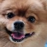 진명철's profile picture