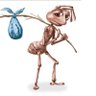 Bishop's profile picture