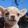 igo's profile picture