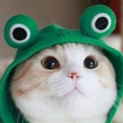 zhanjing0217's profile picture