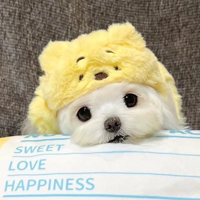 冰美式加奶超难喝's profile picture