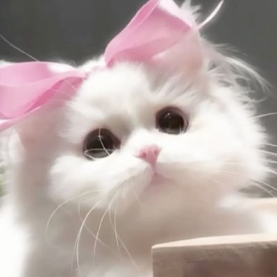 𝜗𝜚 ˖ ࣪ ⊹ ꒰ 𝓁𝓎 ꒱ ♡ ⋆゚⊹'s profile picture