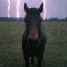 Profilbild von CayMax