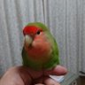 たくぼん's profile picture