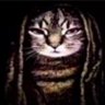 Profilbild von Ⓧ