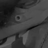 Profilbild von W Fils A R M